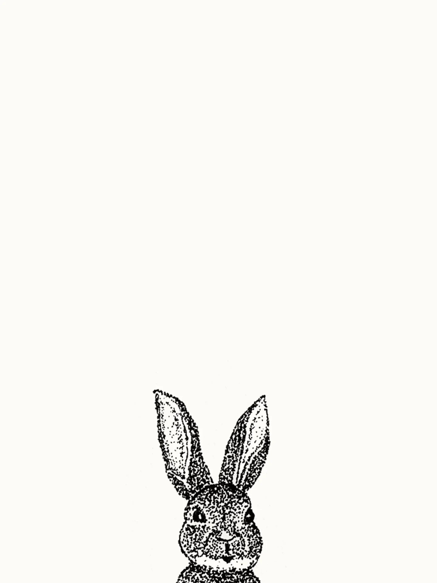 Desen // NOT TESTED ON ANIMALS - 2023