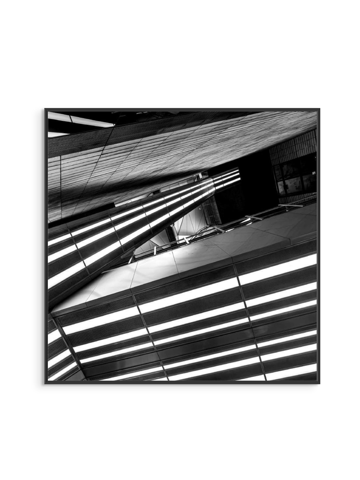 Fotoğraf // TRACK - 2024