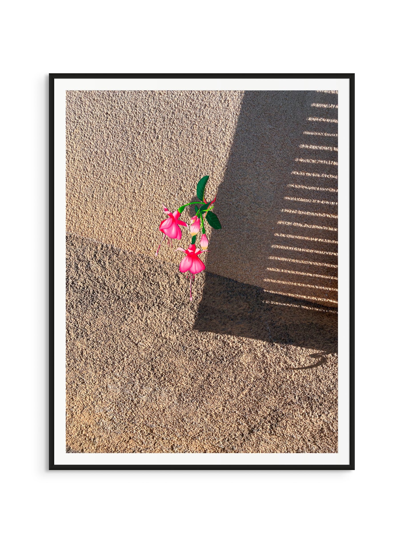 Fotoğraf // Sun-kissed / 10:57 - 2023