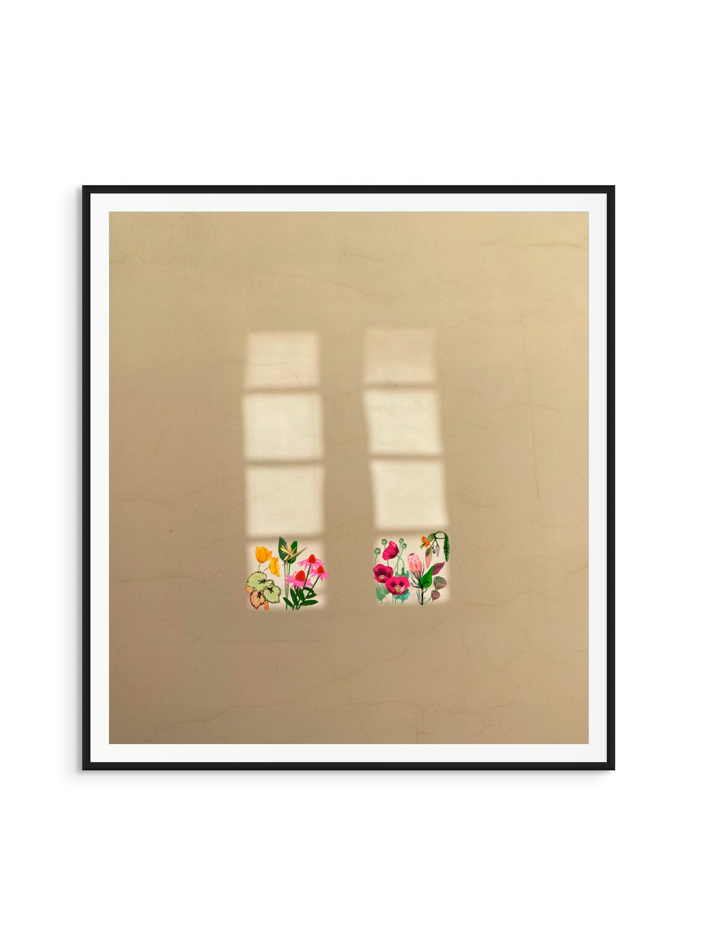 Fotoğraf // Sun-kissed / 11:00 - 2023