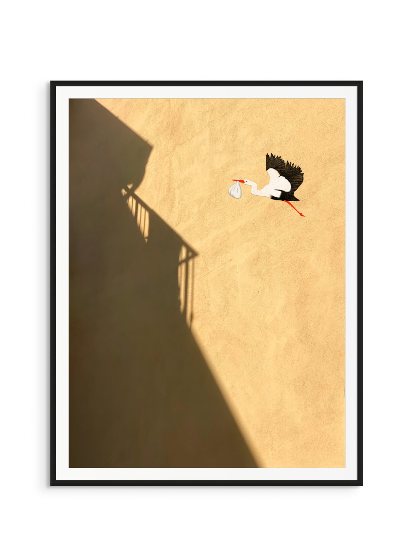 Fotoğraf // Sun-kissed / 11:17 - 2023