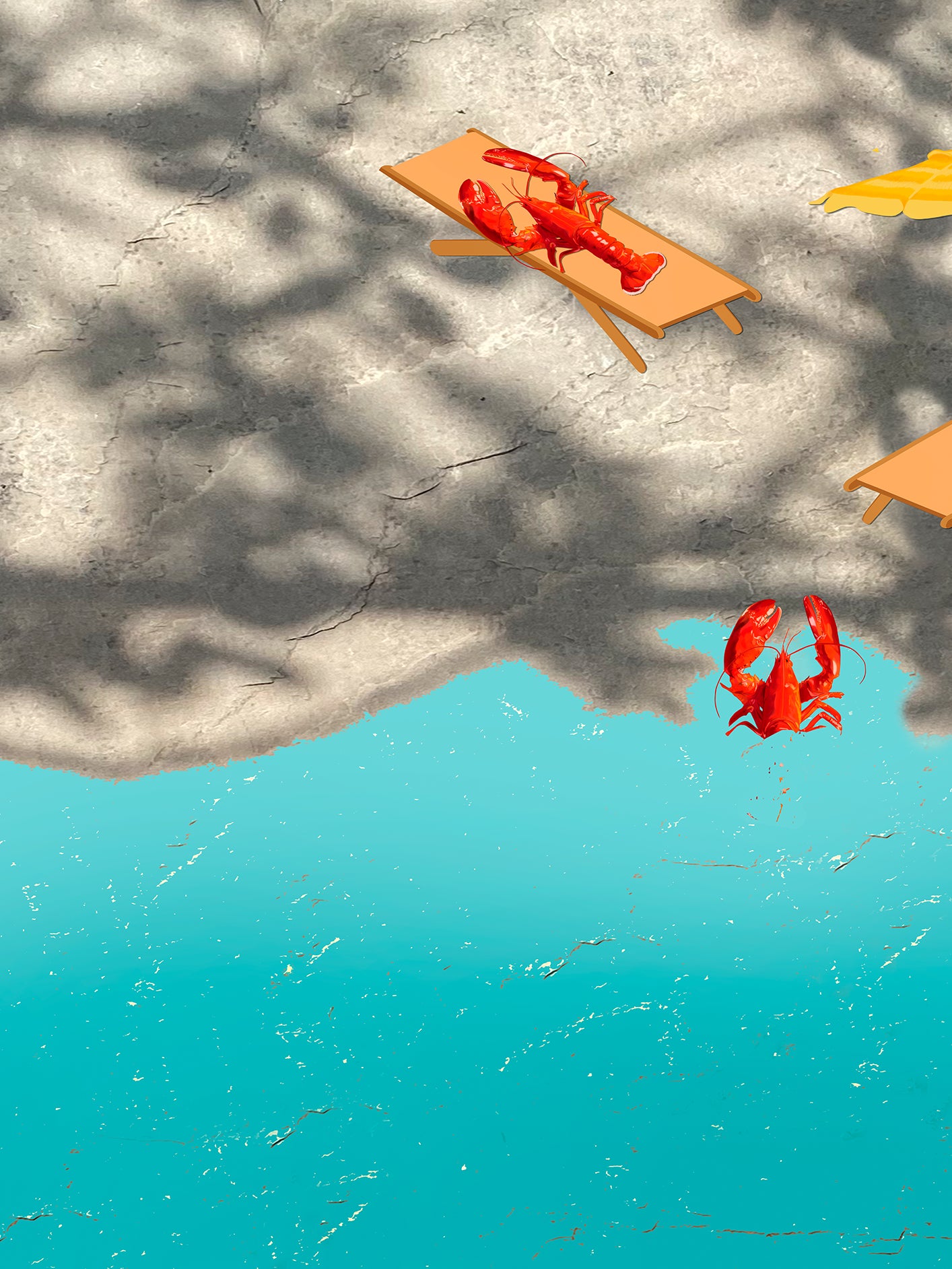 Fotoğraf // Sun-kissed / 13:50 - 2023