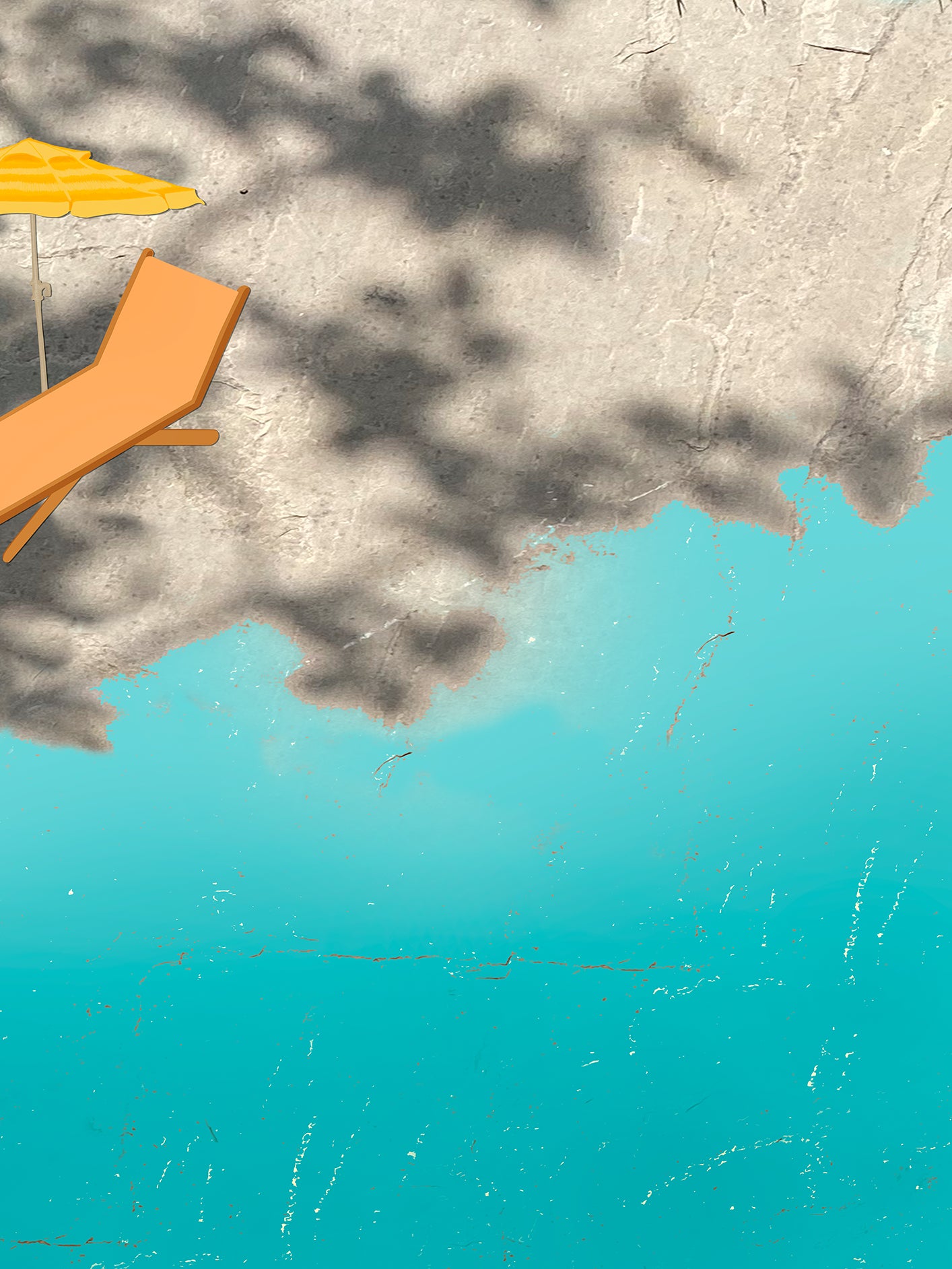 Fotoğraf // Sun-kissed / 13:50 - 2023