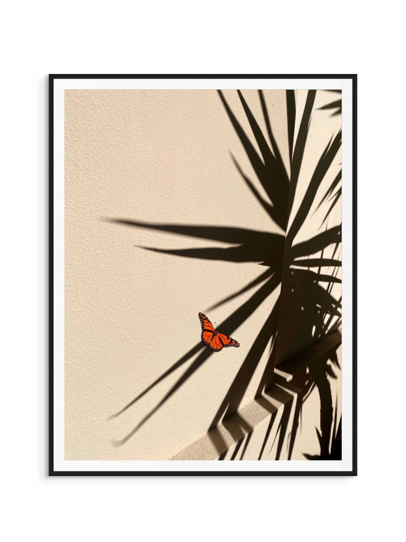 Fotoğraf // Sun-kissed / 14:32 - 2023