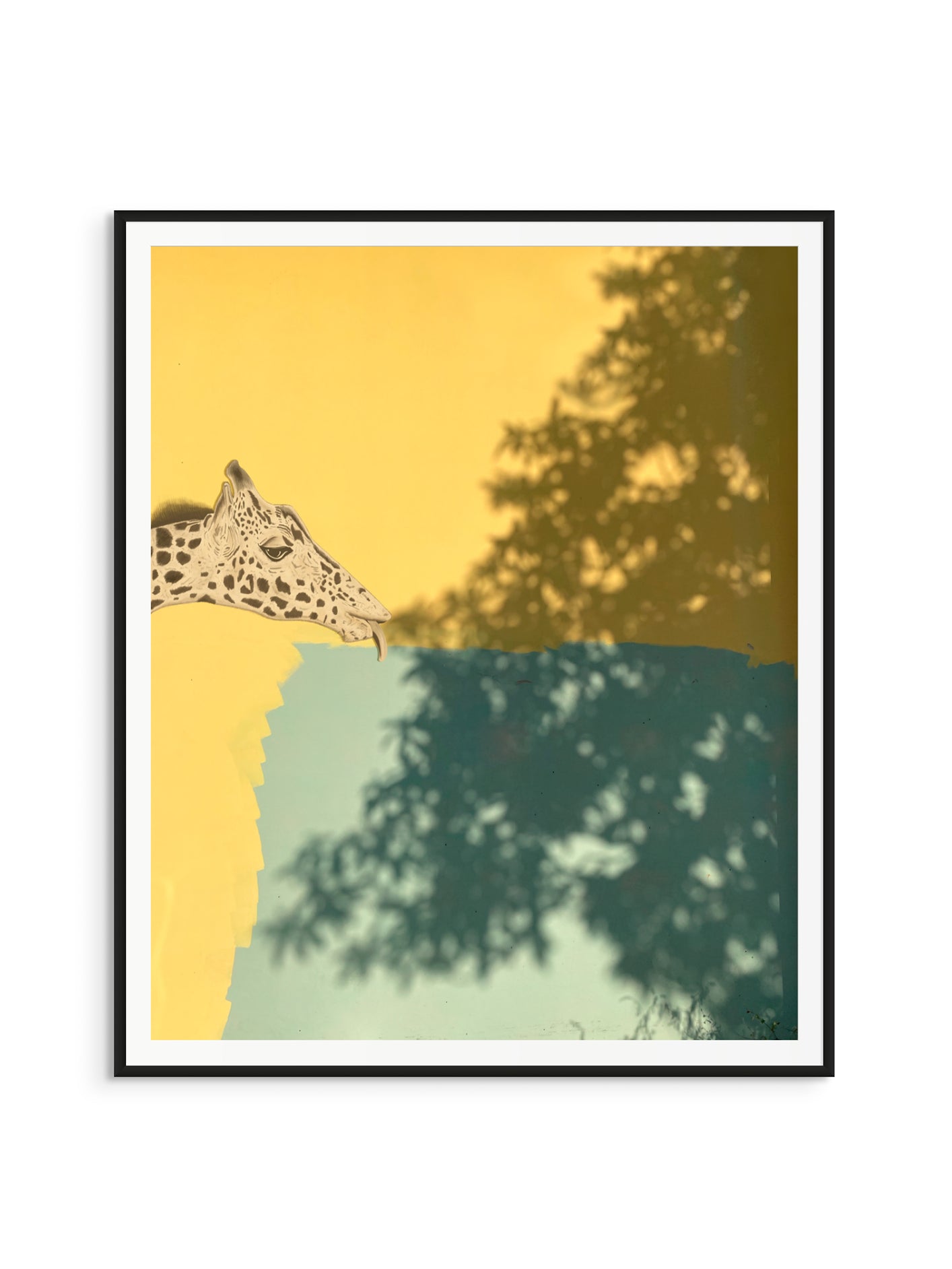 Fotoğraf // Sun-kissed / 14:37 - 2023