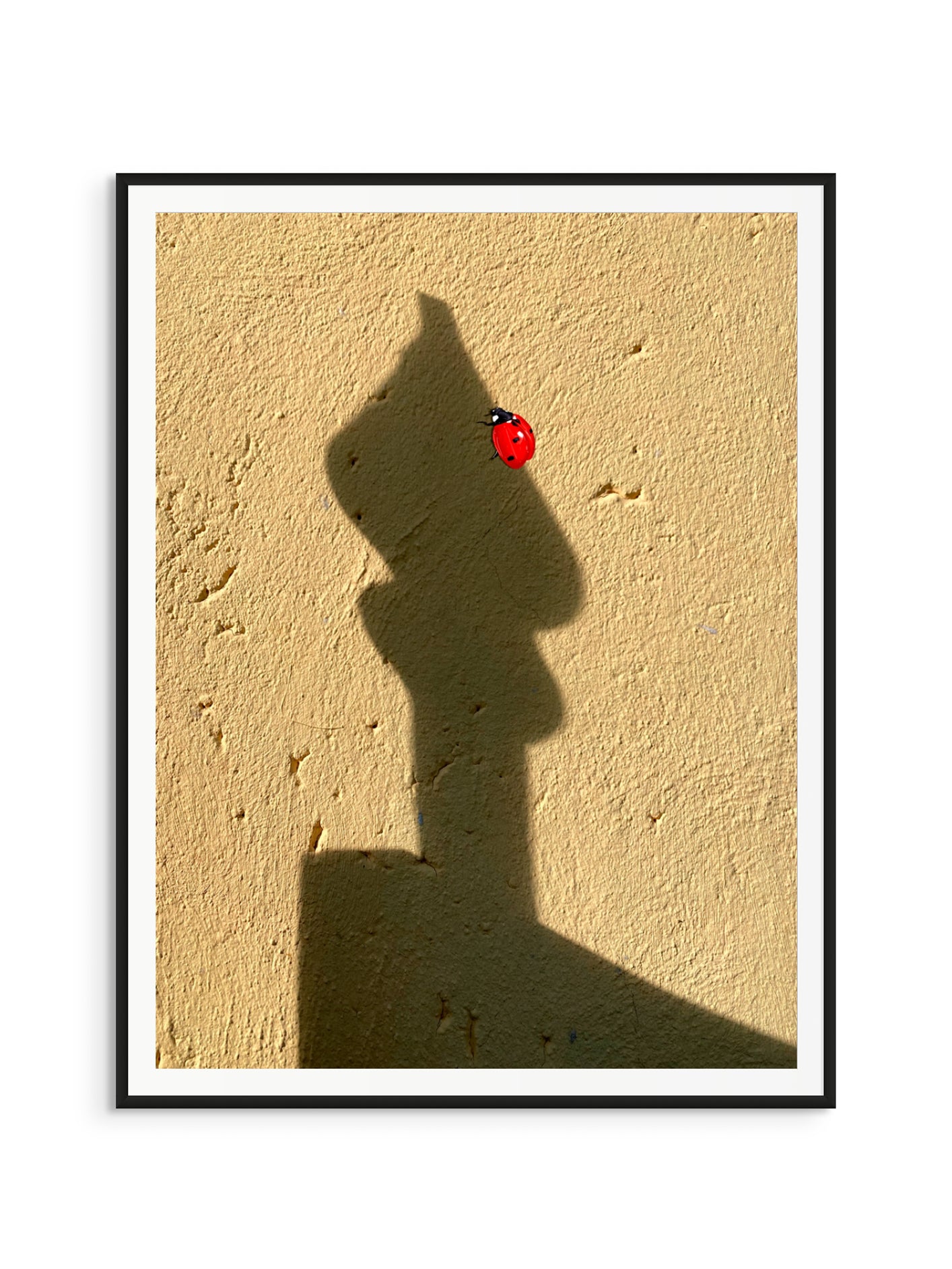 Fotoğraf // Sun-kissed / 14:51 - 2023