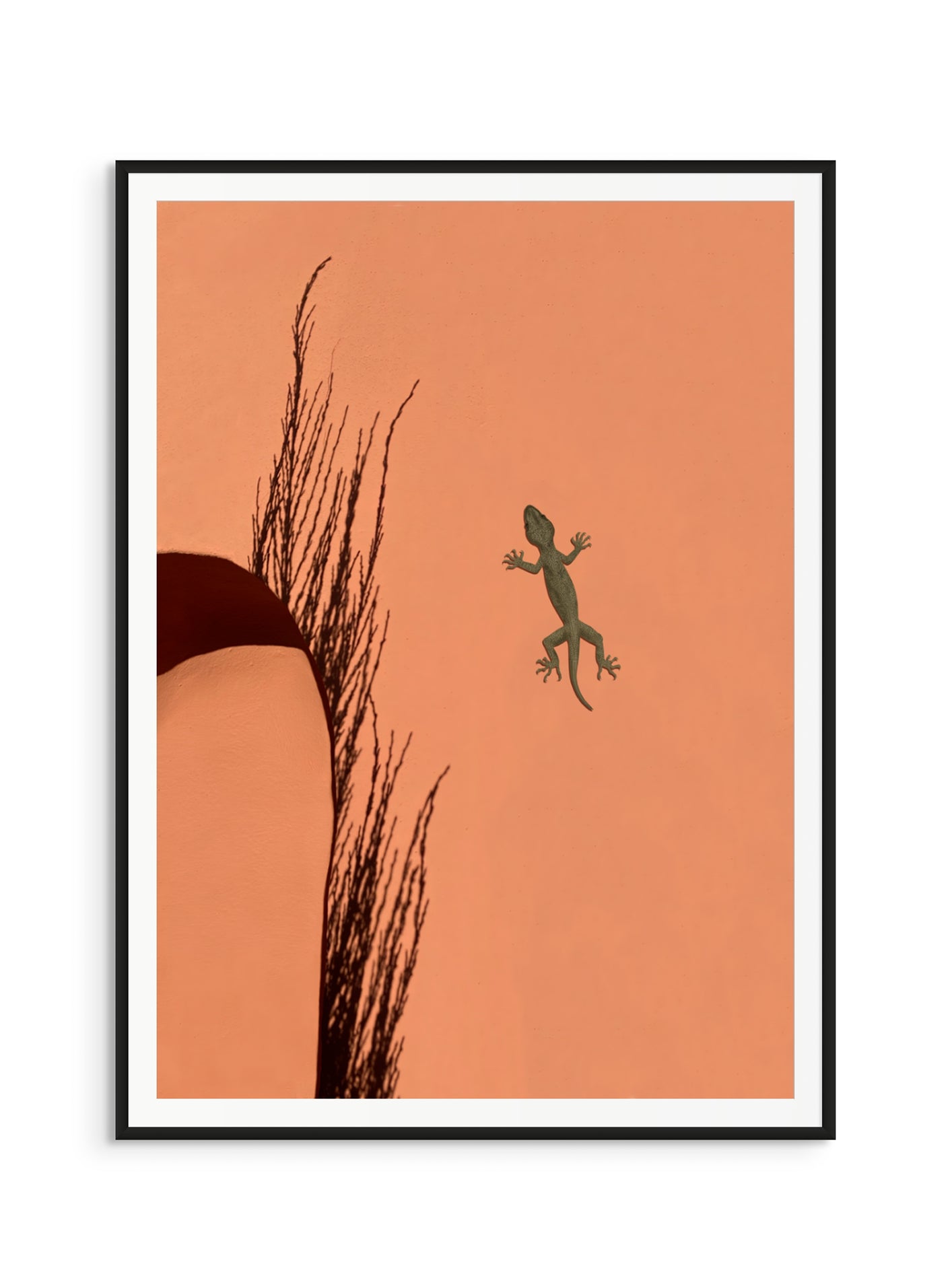 Fotoğraf // Sun-kissed / 15:41 - 2023