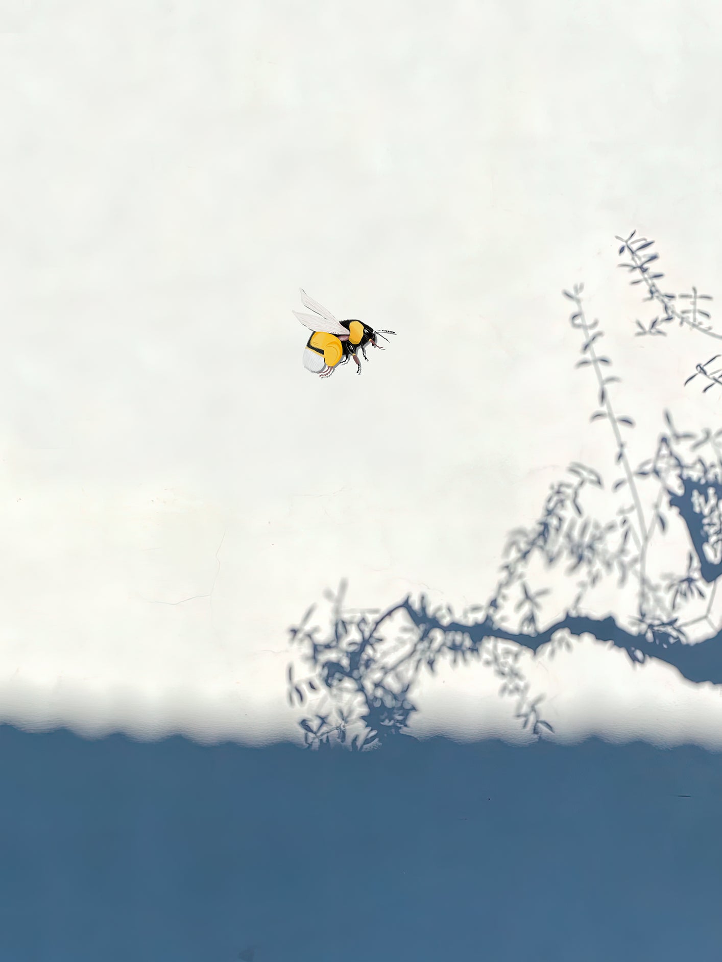 Fotoğraf // Sun-kissed / 16:57 - 2023