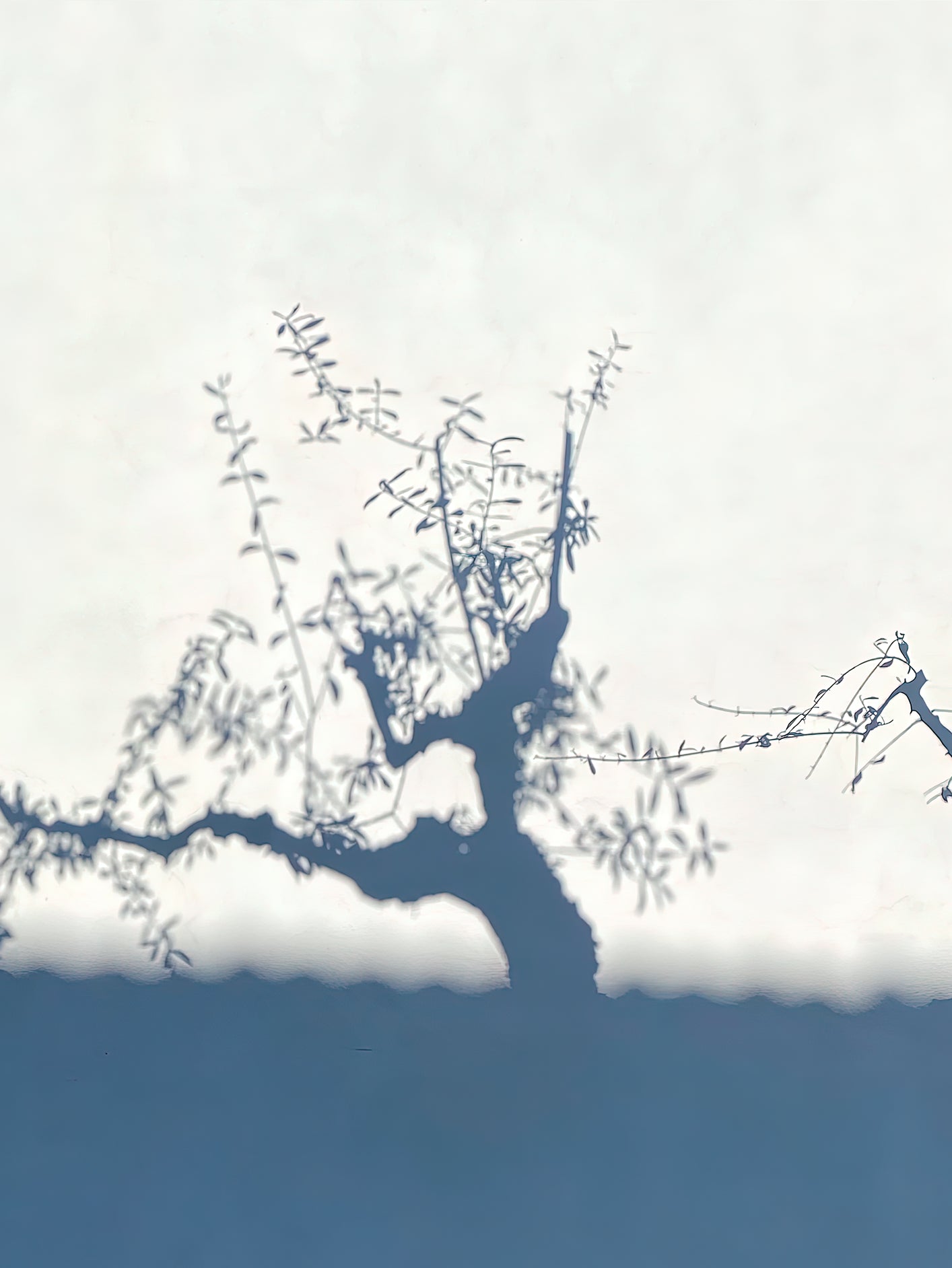 Fotoğraf // Sun-kissed / 16:57 - 2023