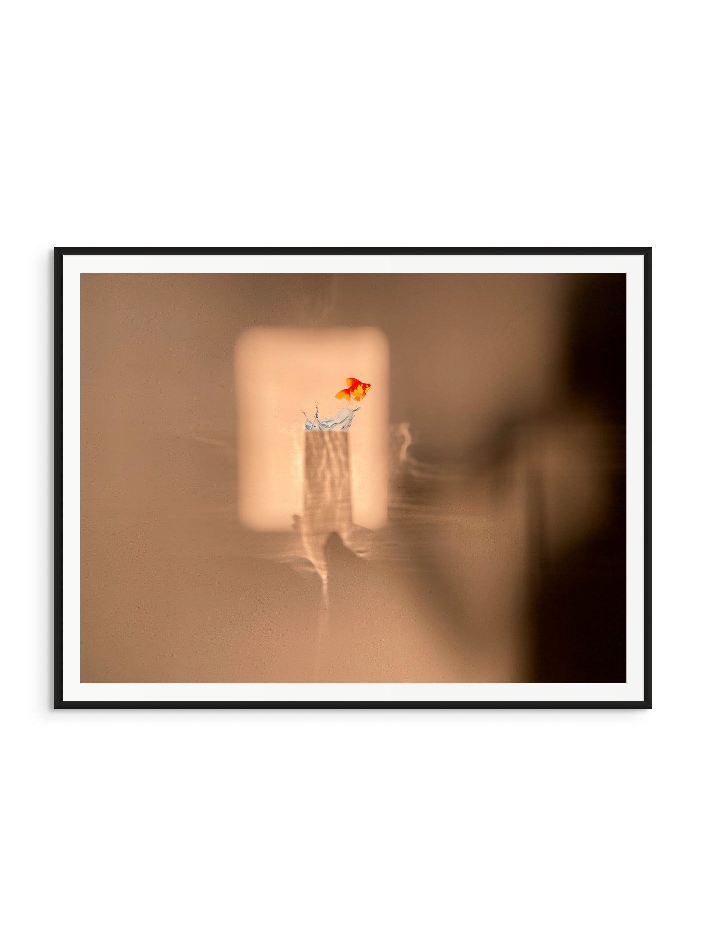 Fotoğraf // Sun-kissed / 16:57 - 2023