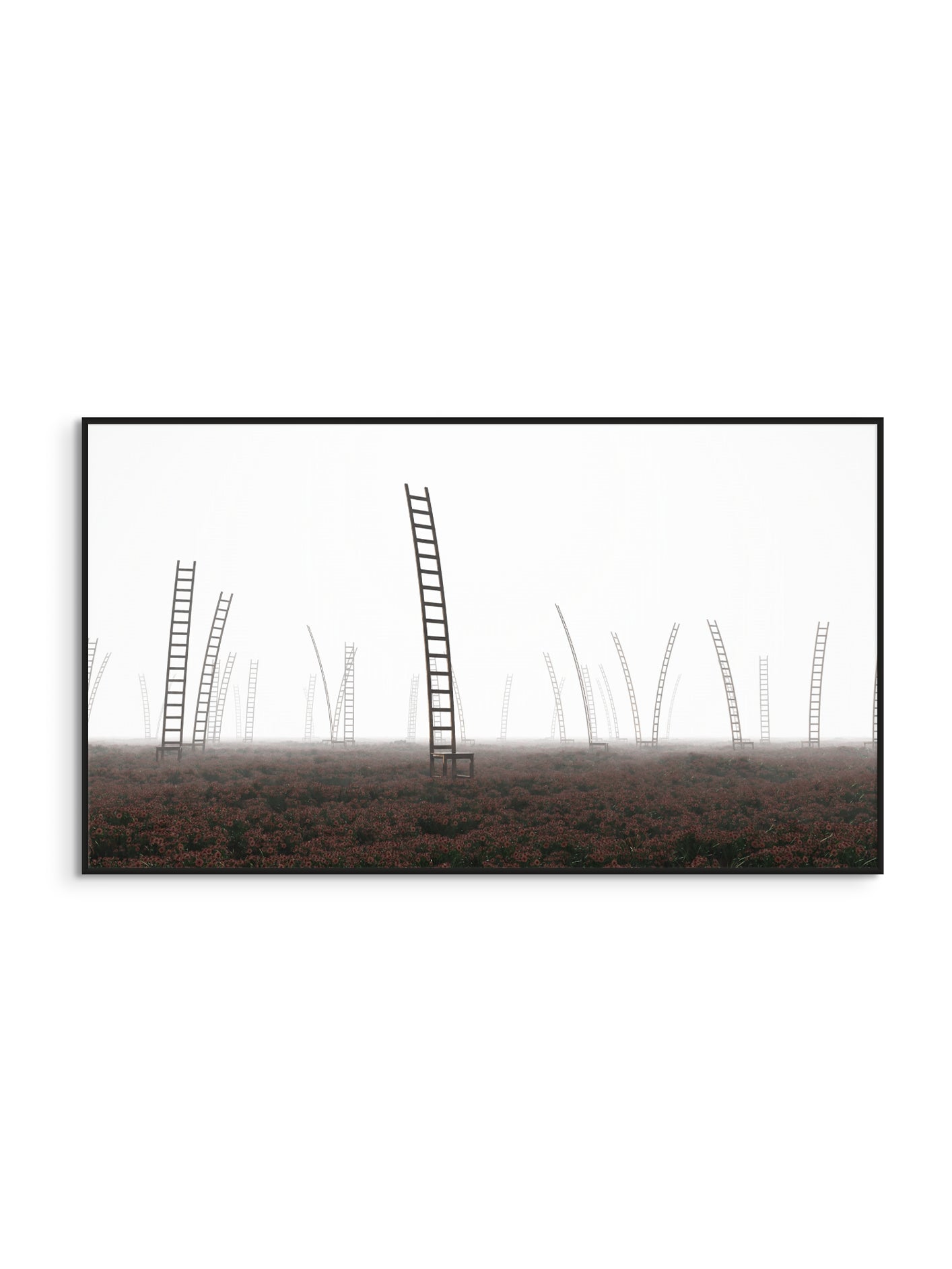 Baskı // The Garden of the Past - 2024