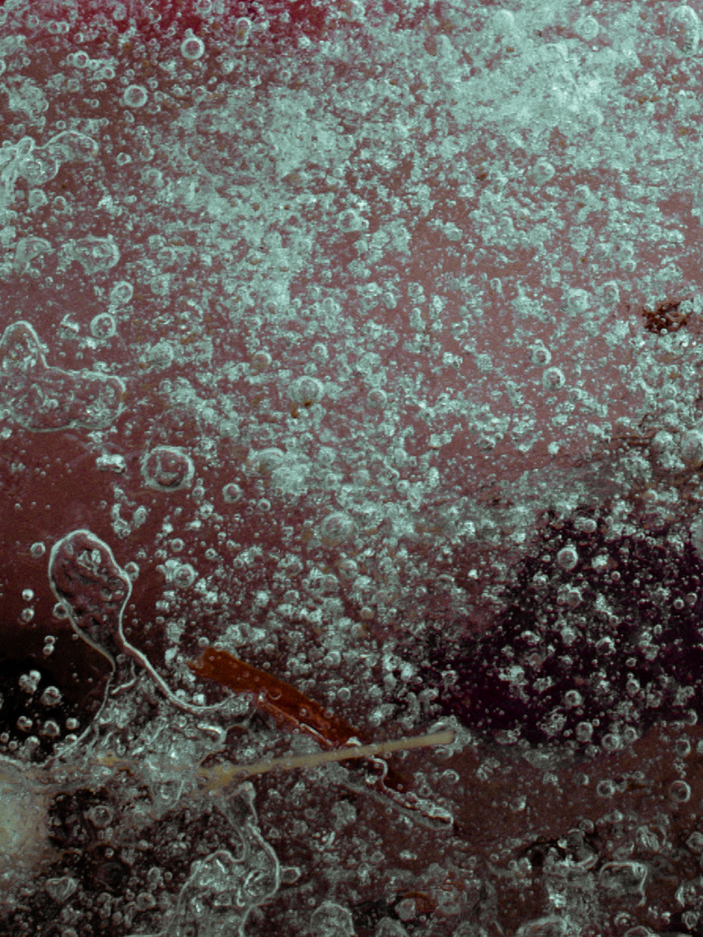 Fotoğraf // Untitled 6 - 2025