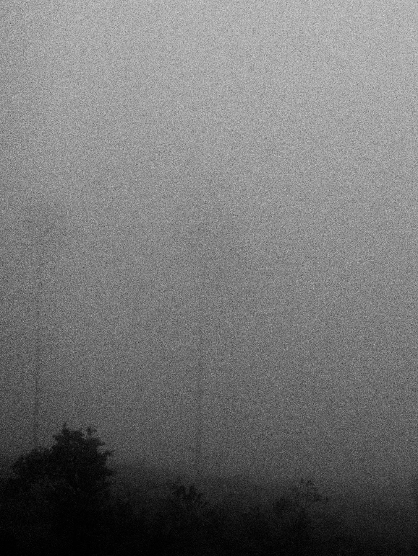 Fotoğraf // Untitled 5 - 2024