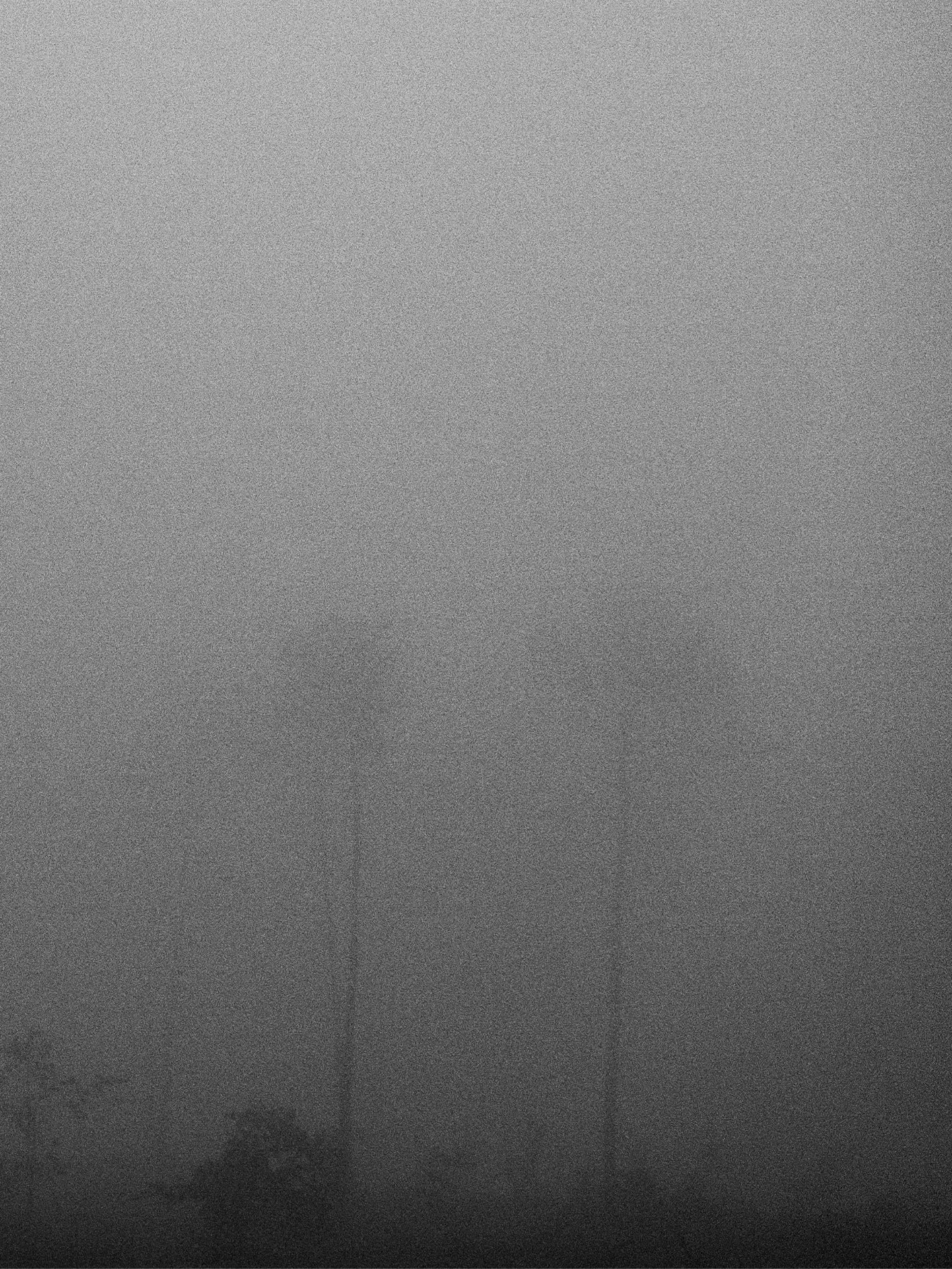 Fotoğraf // Untitled 5 - 2024