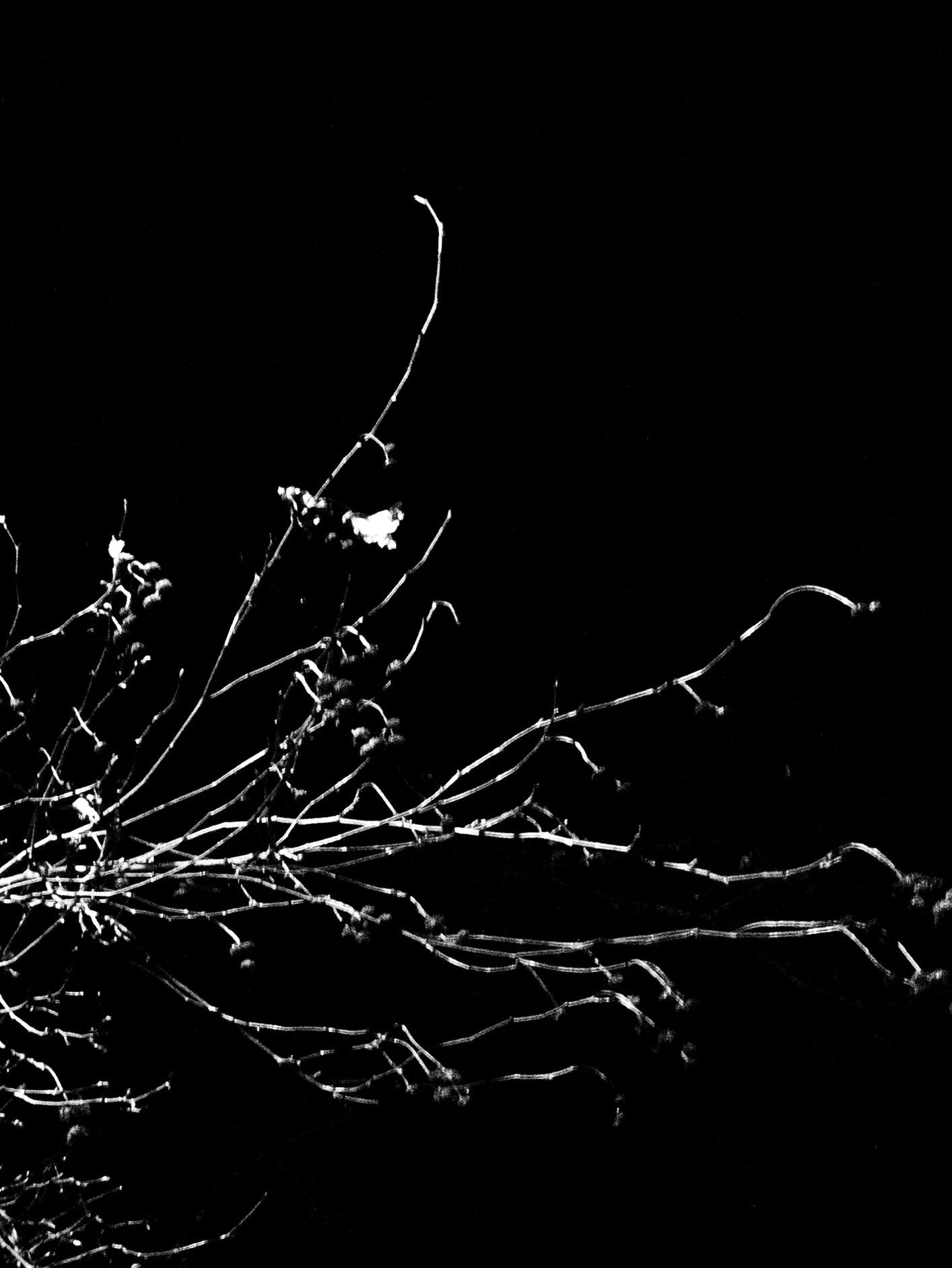 Fotoğraf // Untitled 2 - 2024