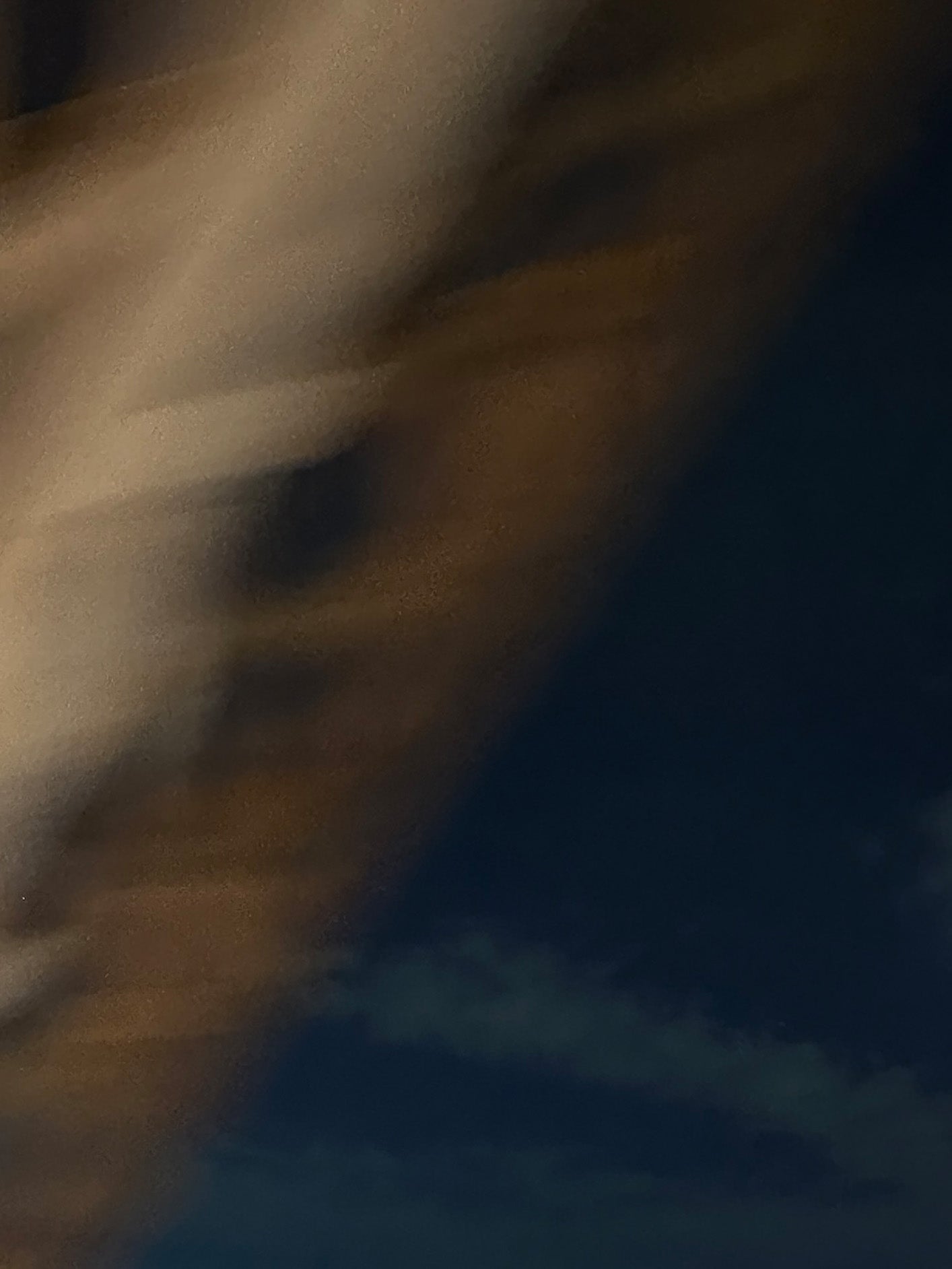 Fotoğraf // Moments in Motion 103 - 2021