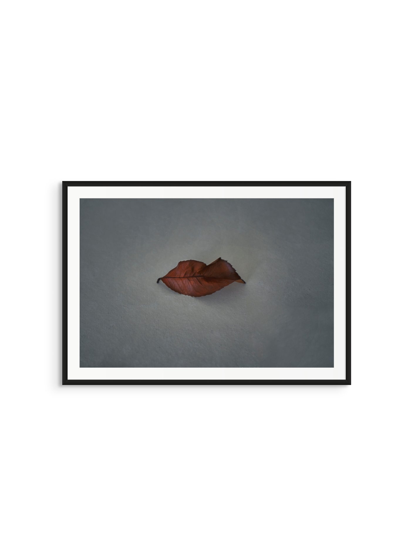 Fotoğraf // Mauna - 2017