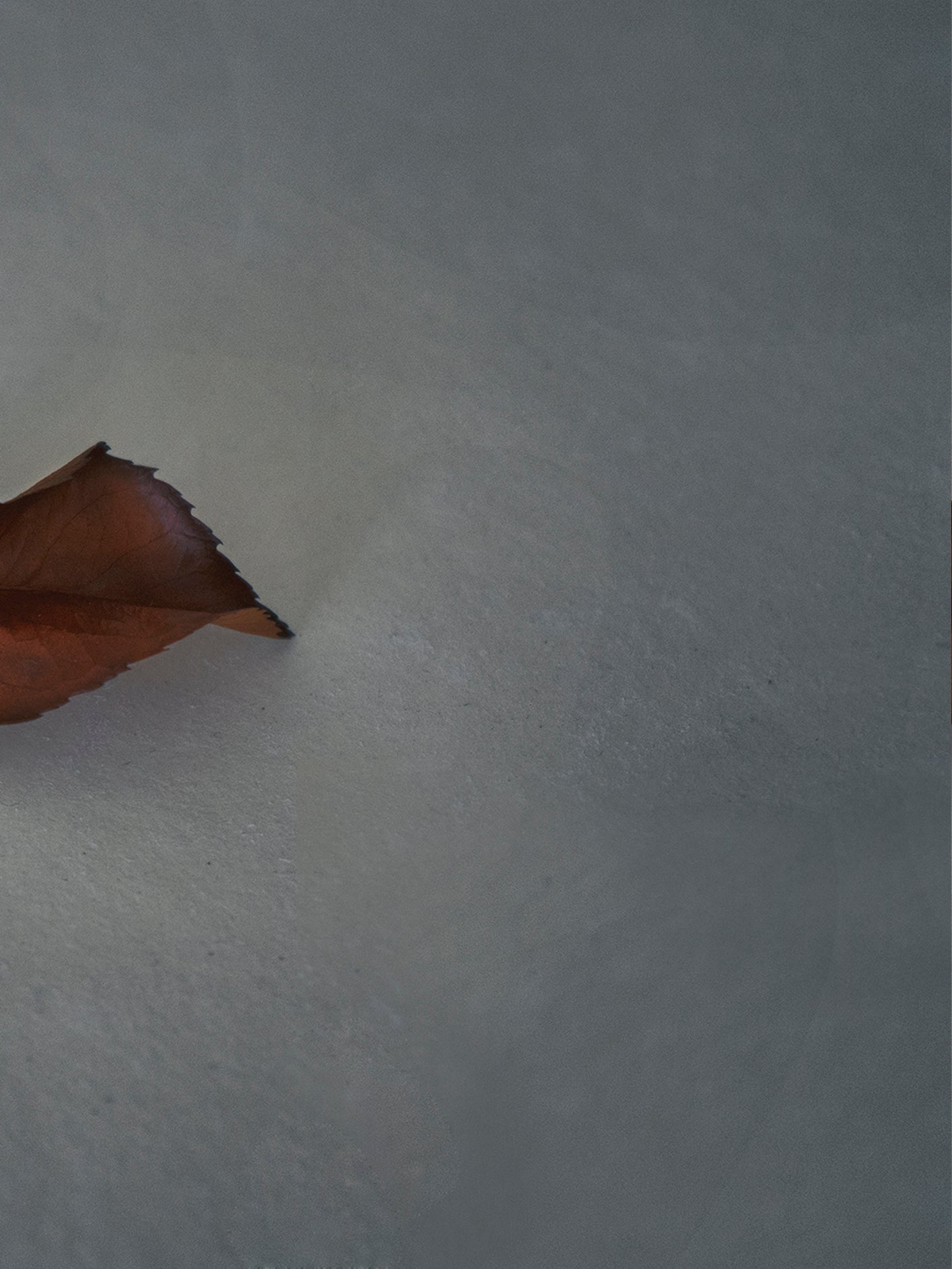 Fotoğraf // Mauna - 2017