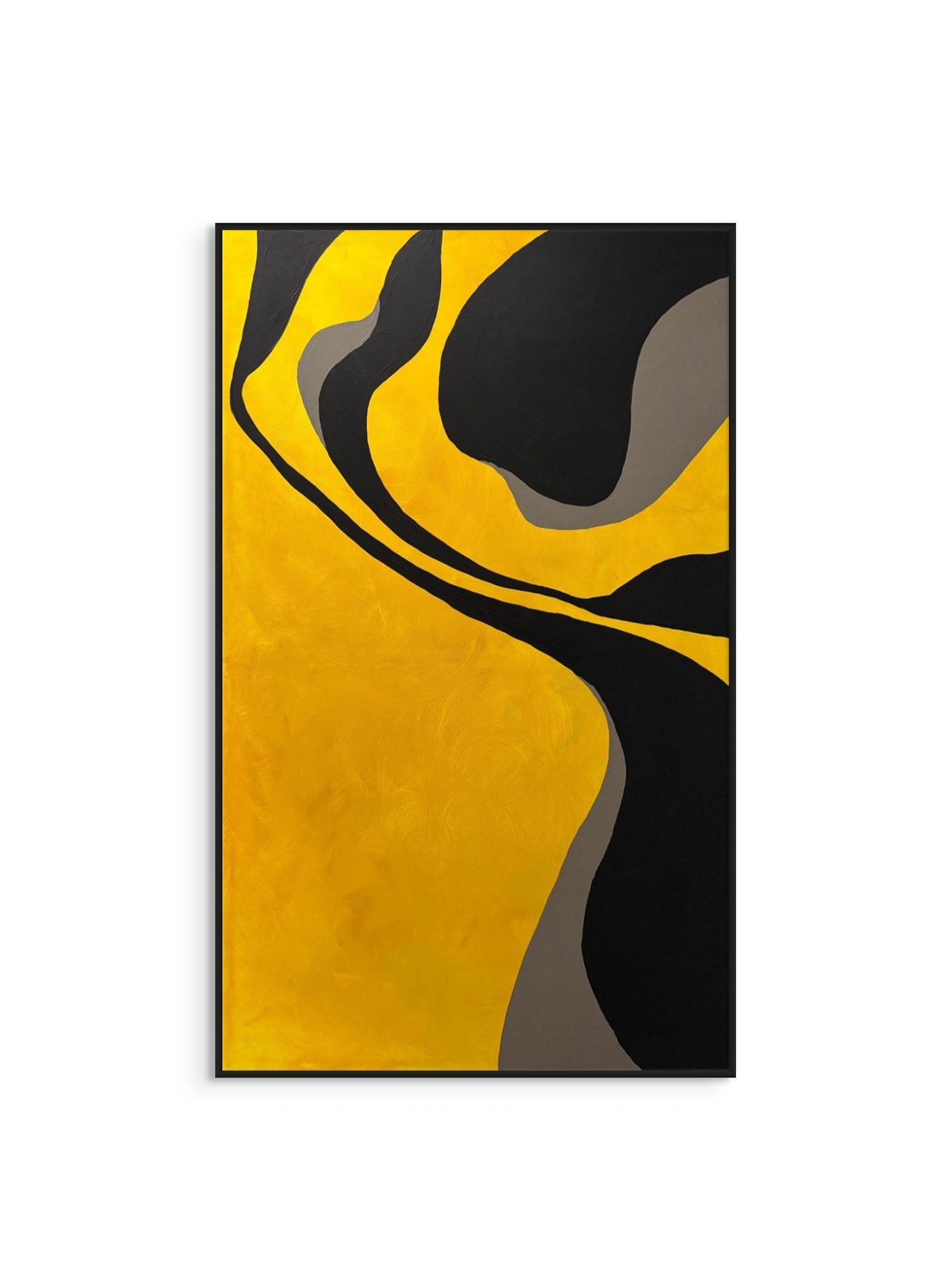 Resim // Safari - 2025