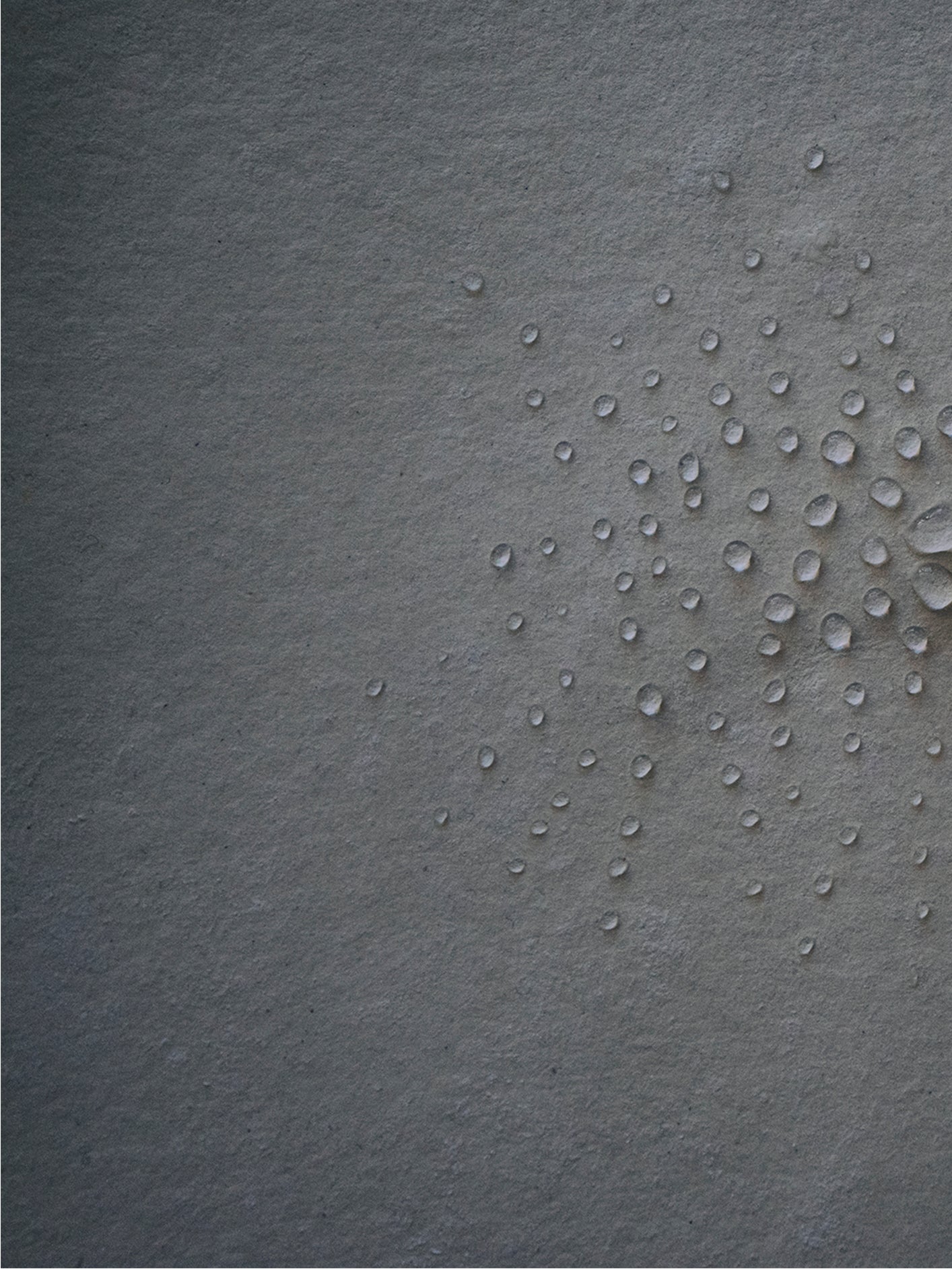 Fotoğraf // Seicho - 2017