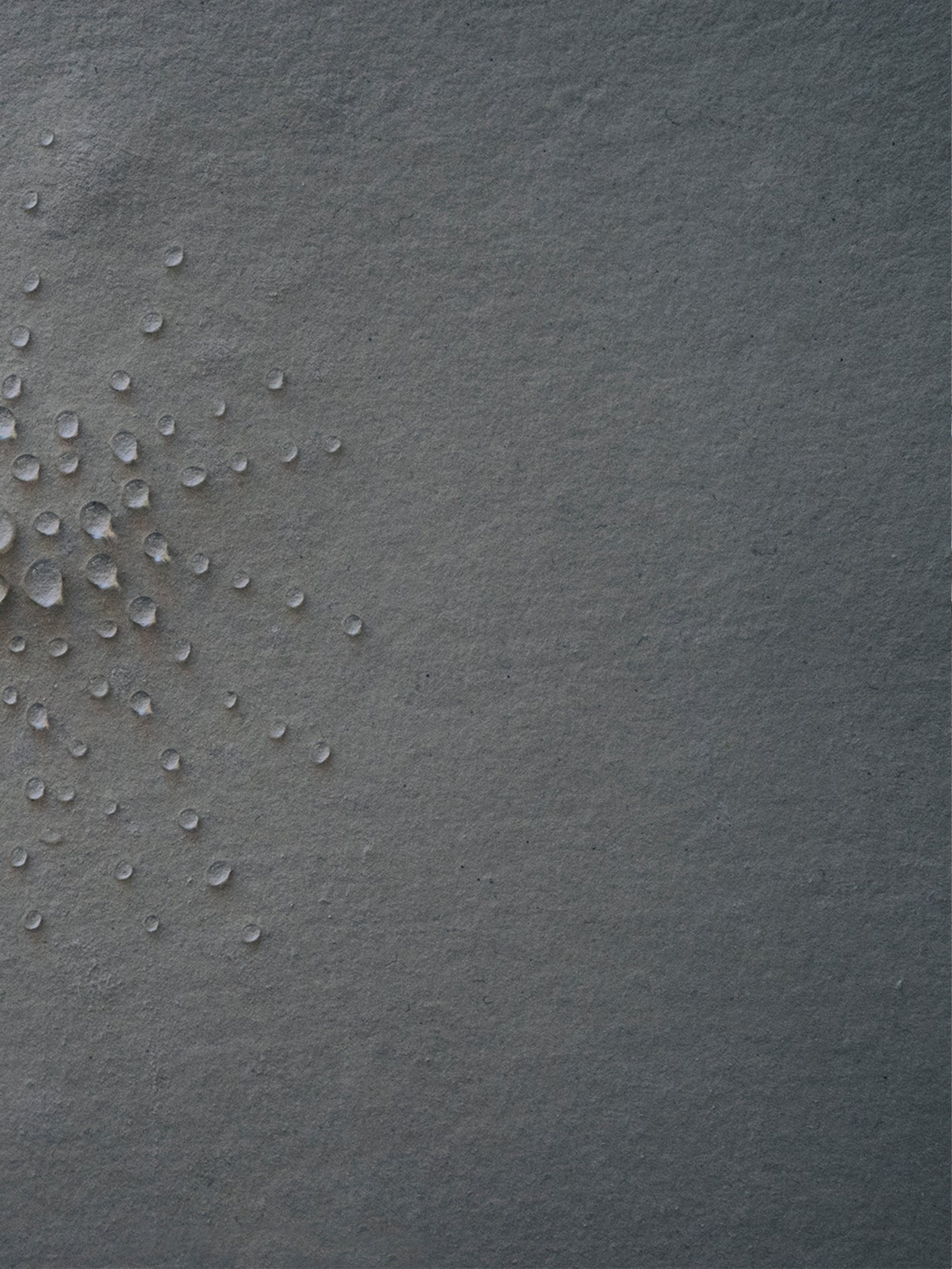 Fotoğraf // Seicho - 2017