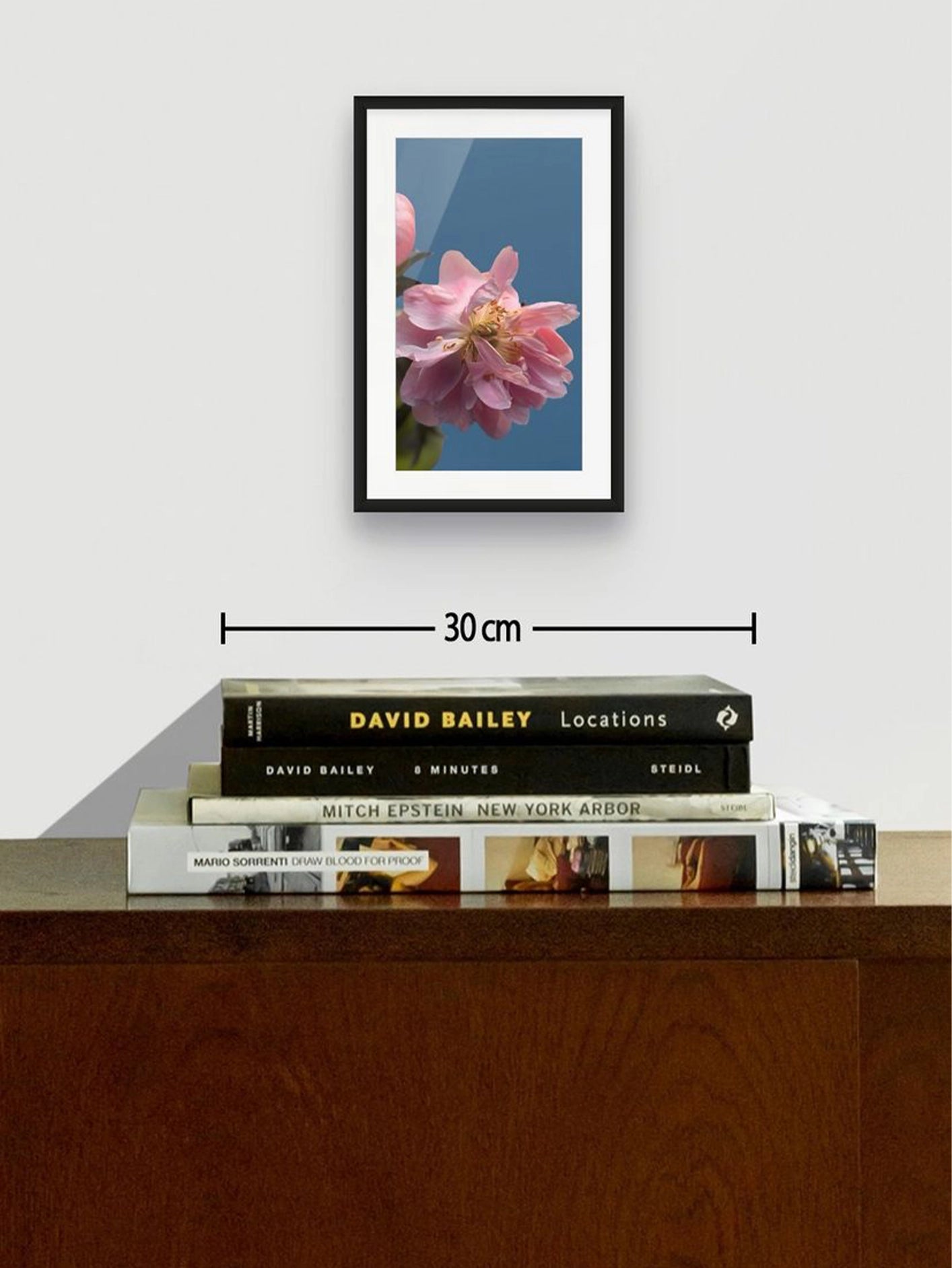 Fotoğraf // APPLE BLOSSOM - 2026