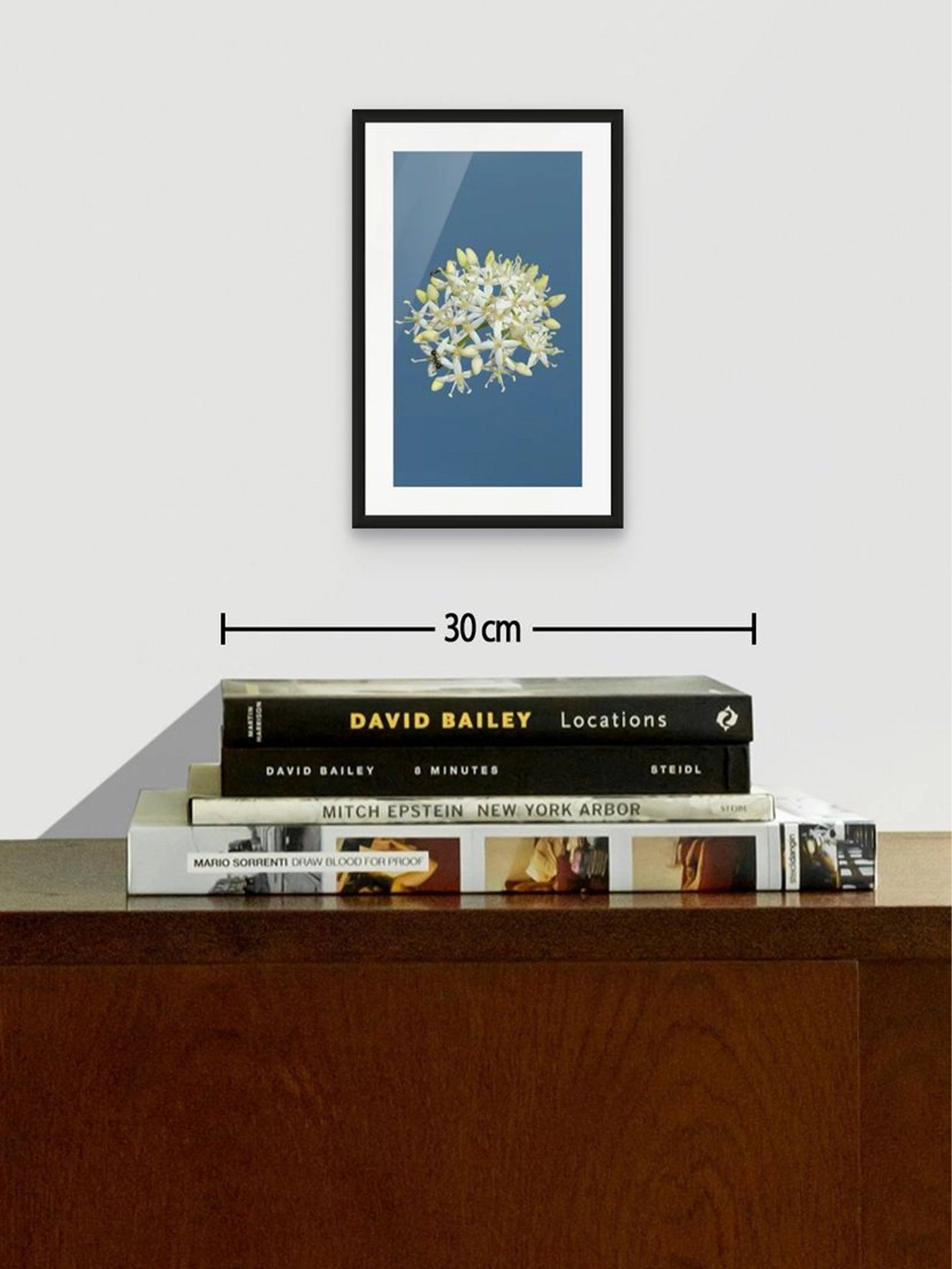 Fotoğraf // DOGWOOD - 2026