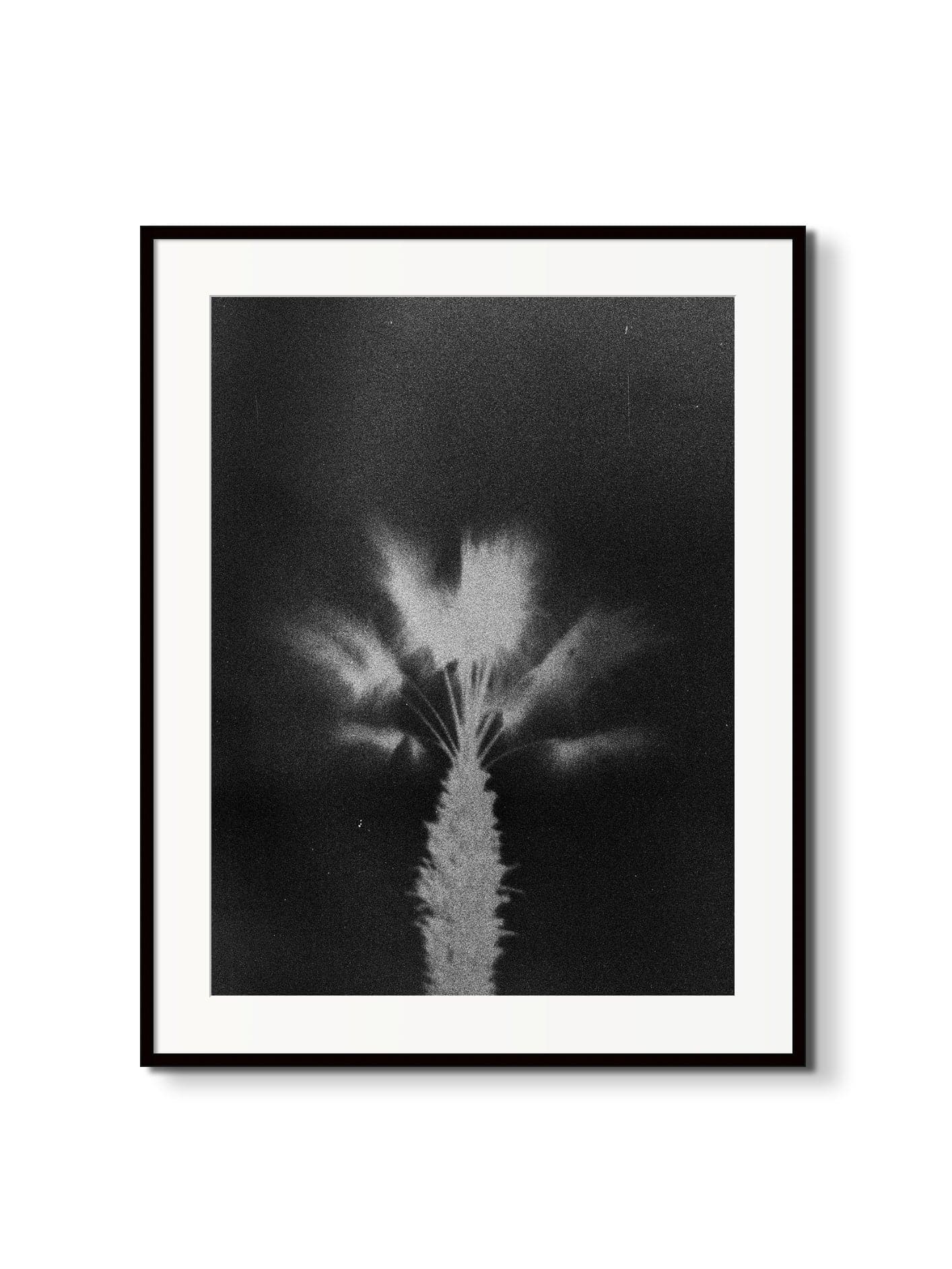 Fotoğraf // i want wind to blow, 2001 - 2021 - shopi go