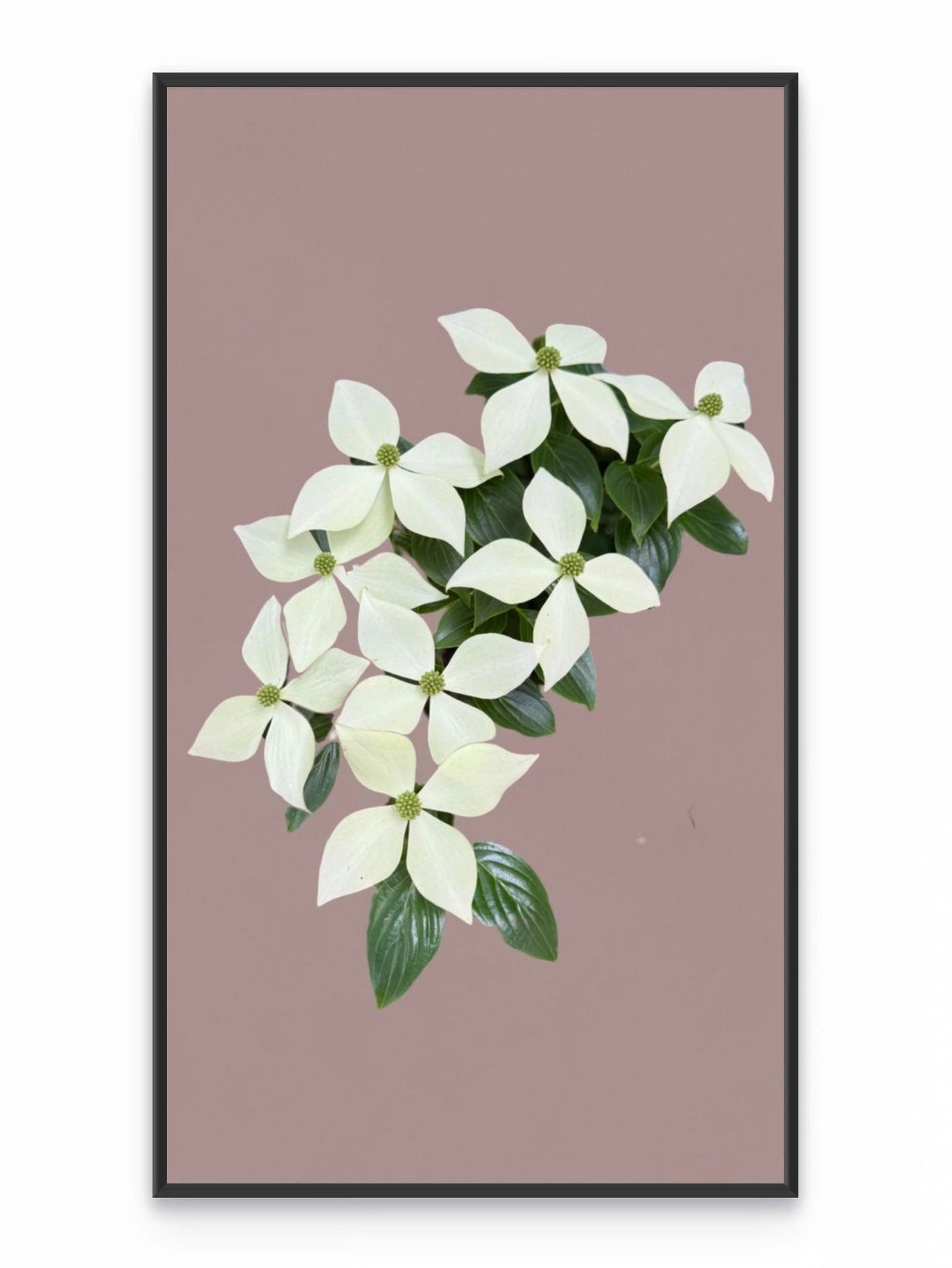 Fotoğraf // HOLLY - 2026