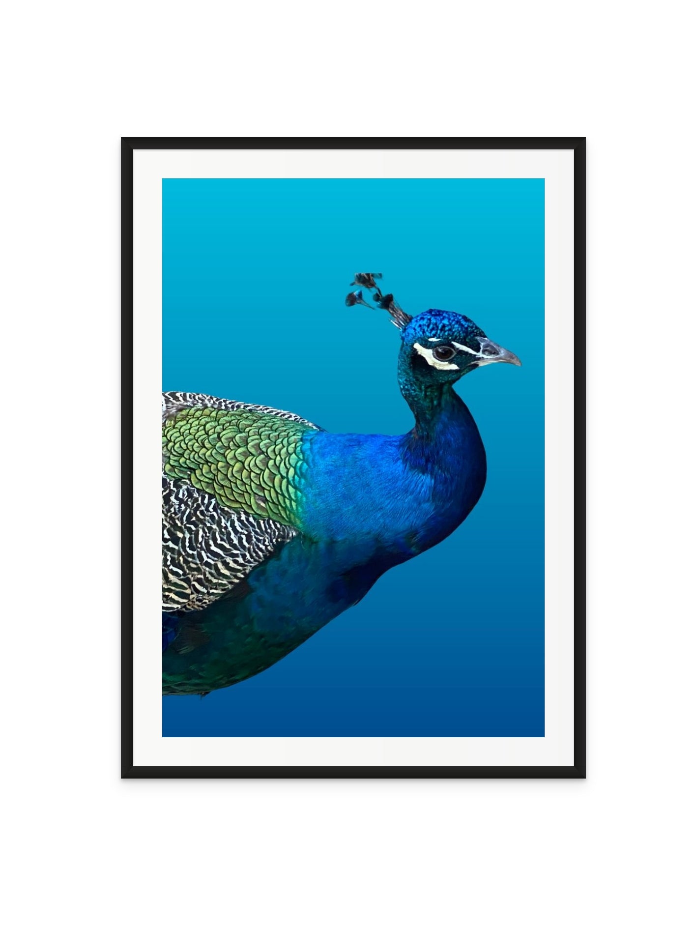 Fotoğraf // Dreaming Blue - 2022