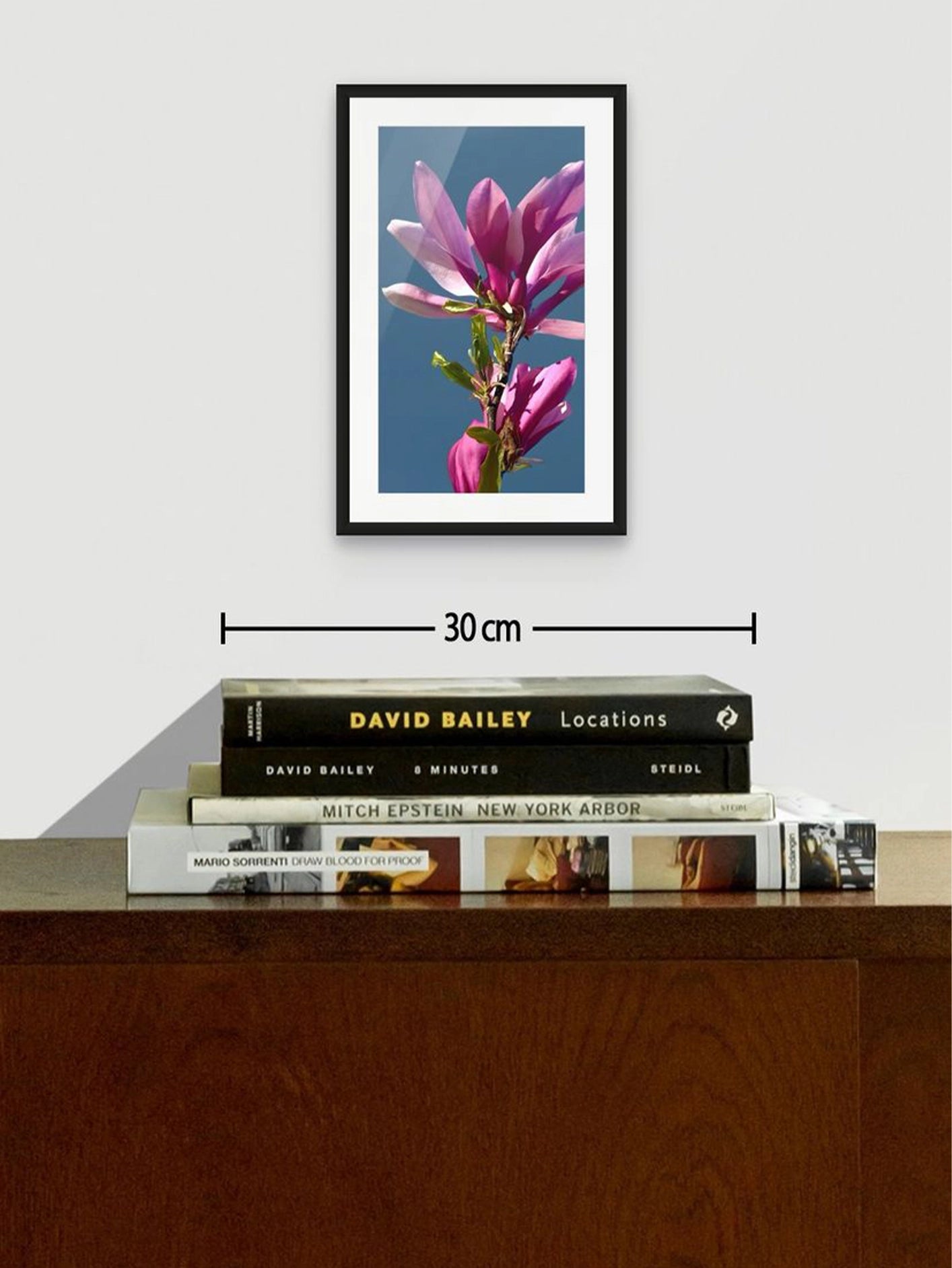 Fotoğraf // MAGNOLIA - 2026
