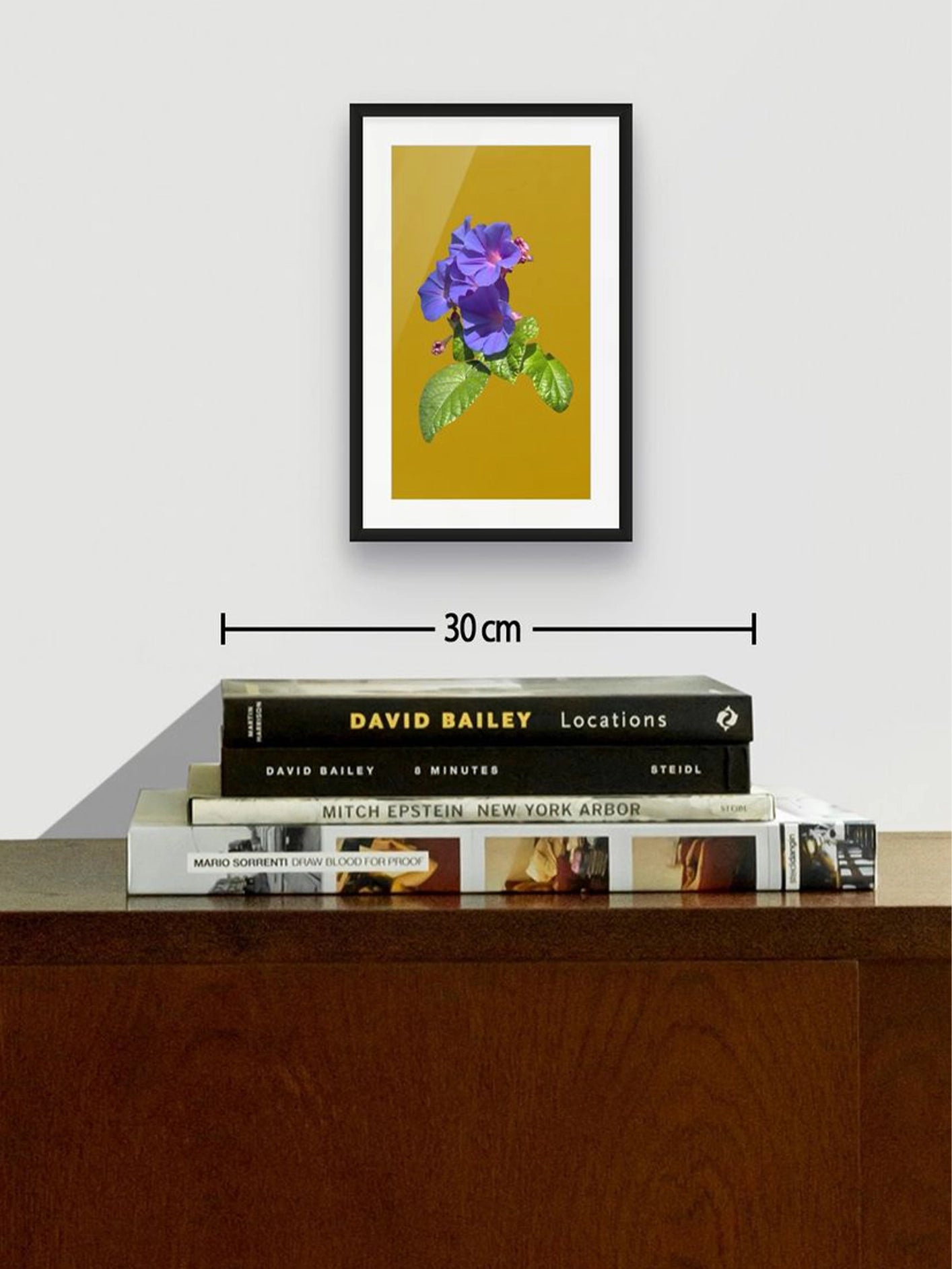 Fotoğraf // MORNING GLORY - 2026