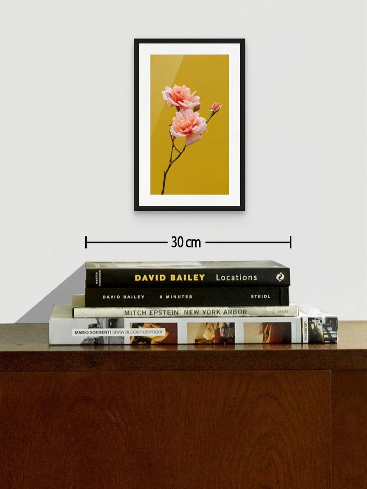 Fotoğraf // ROSE - 2026