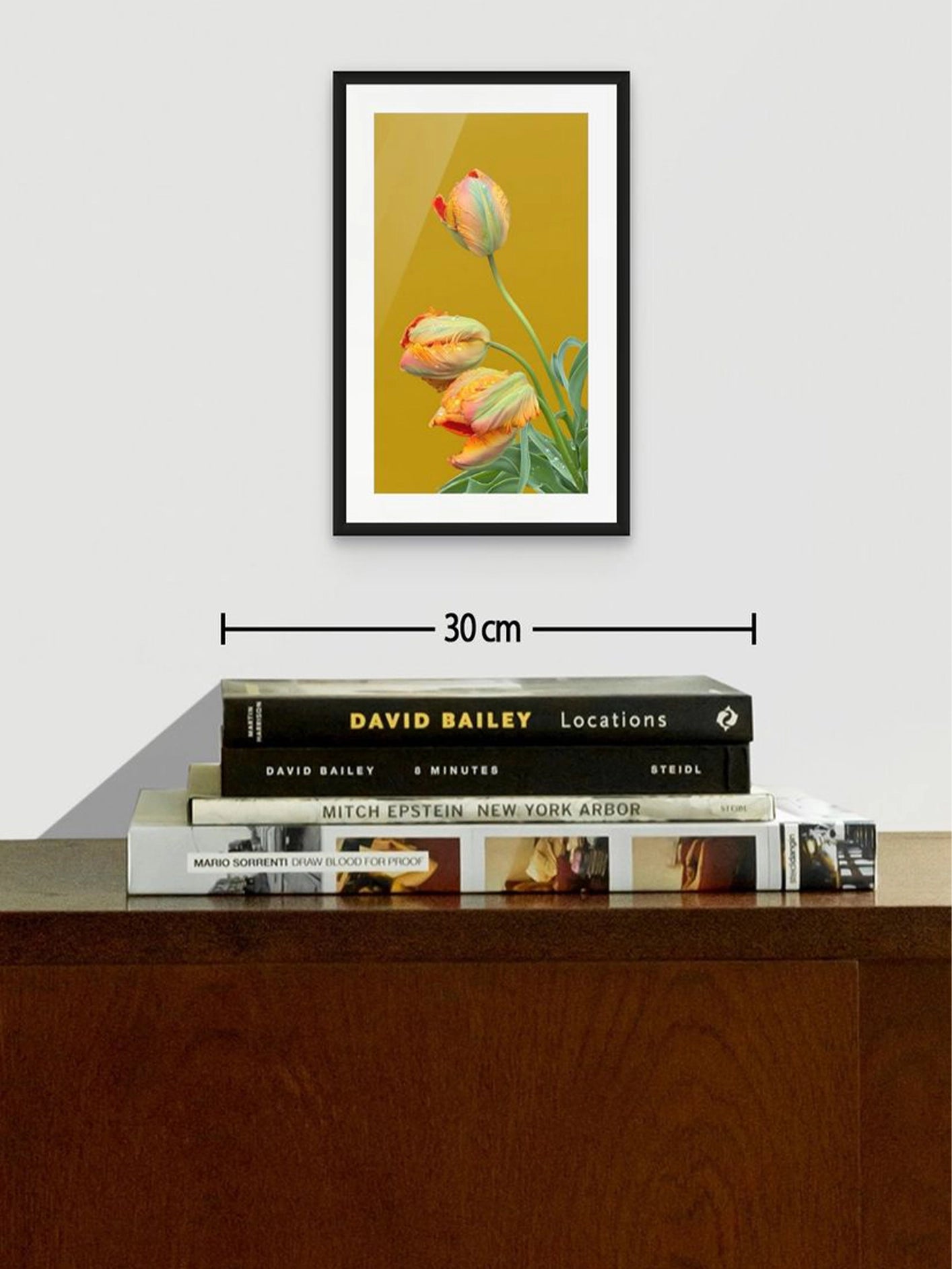 Fotoğraf // TULIP - 2026