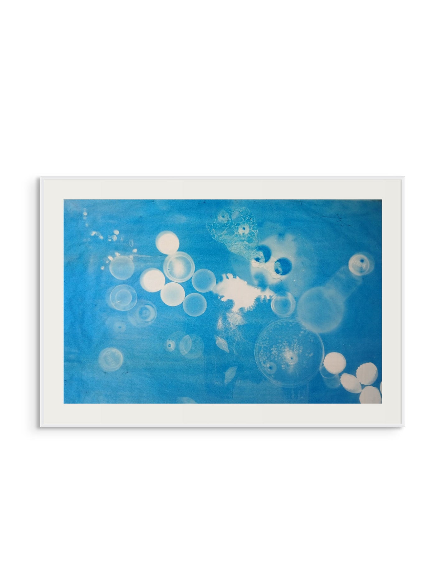 Baskı // Underwater Discovery - 2025